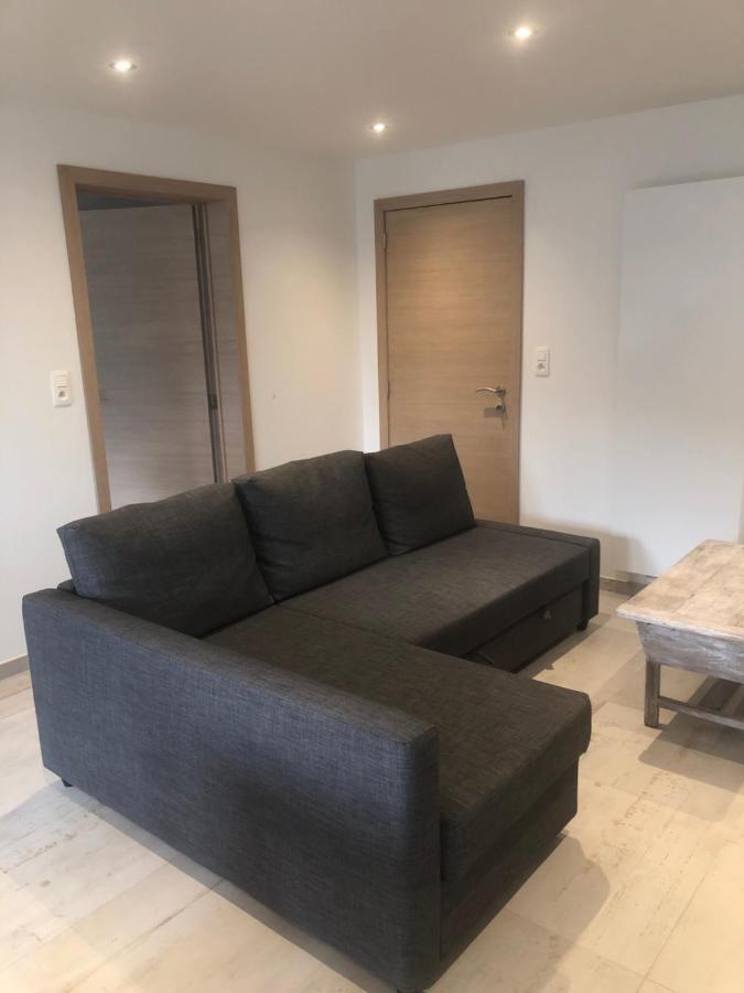 Pegasus I - 2 Chambres De Luxe, Cuisine, Salon, 2 Terrasses Et Sauna Vielsalm Exterior photo